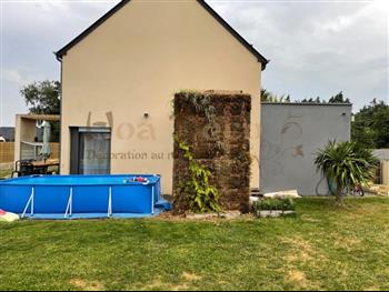 mur végétal naturel particulier 35 - 2021 juillet début plantation Hoa déco piscine pergolas bois exotique 35430 st pere marc en poulet