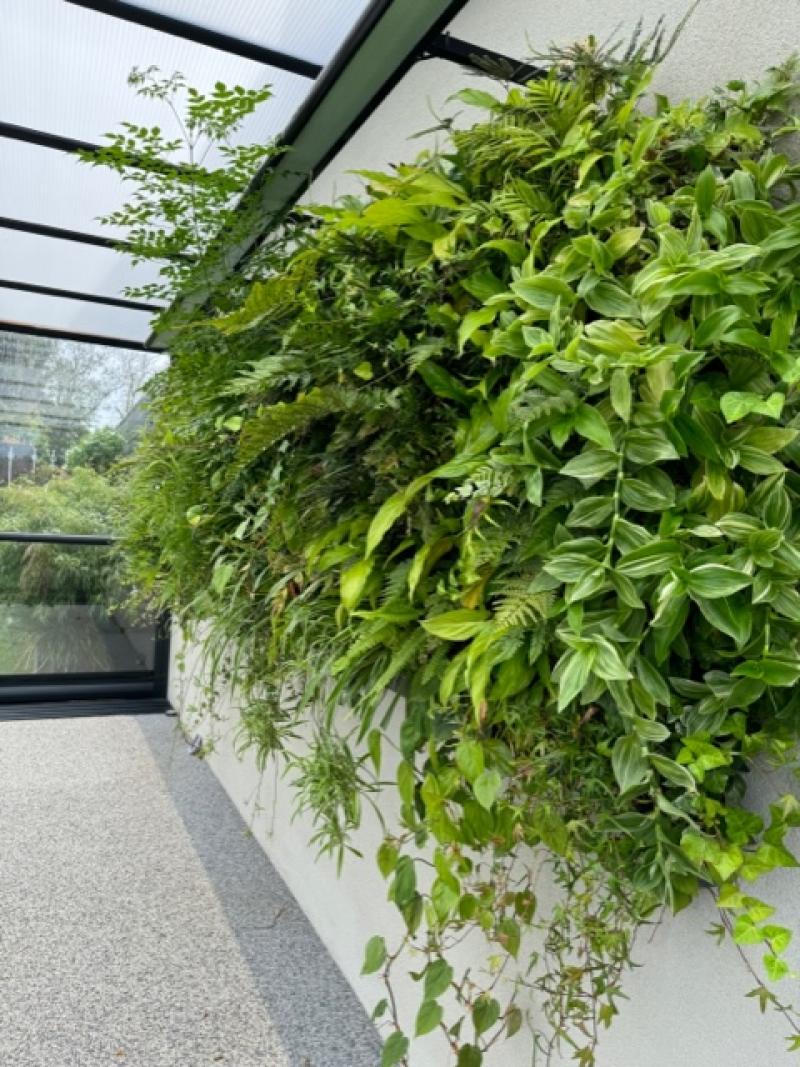 mur vegetal naturel sphaigne hoa deco piscine extérieur intérieur