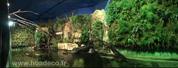 mur vegetal naturel sphaigne plante bio HOA DECO FOURNITURES CREATION MURS VEGETAUX REALISER PAR LE GRAND AQUARIUM DE ST MALO 35400 DESIGN