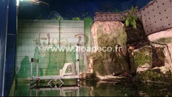 mur vegetal naturel sphaigne plante bio HOA DECO FOURNITURES CREATION MURS VEGETAUX REALISER PAR LE GRAND AQUARIUM DE ST MALO 35400 EN CONSTRUCTION