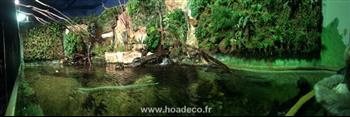 mur vegetal naturel sphaigne plante bio HOA DECO FOURNITURES CREATION MURS VEGETAUX REALISER PAR LE GRAND AQUARIUM DE ST MALO 35400 PANORAMIQUE