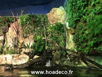 mur vegetal naturel sphaigne plante bio HOA DECO FOURNITURES CREATION MURS VEGETAUX REALISER PAR LE GRAND AQUARIUM DE ST MALO 35400 PHILODENDRON DELICIOSA