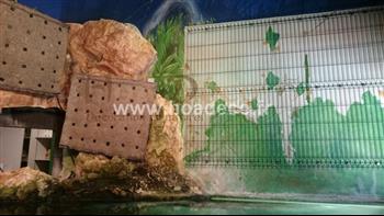 mur vegetal naturel sphaigne plante bio HOA DECO FOURNITURES CREATION MURS VEGETAUX REALISER PAR LE GRAND AQUARIUM DE ST MALO 35400