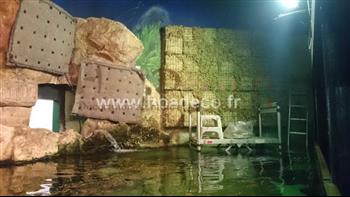 mur vegetal naturel sphaigne plante bio HOA DECO FOURNITURES CREATION MURS VEGETAUX REALISER PAR LE GRAND AQUARIUM DE ST MALO AVANT