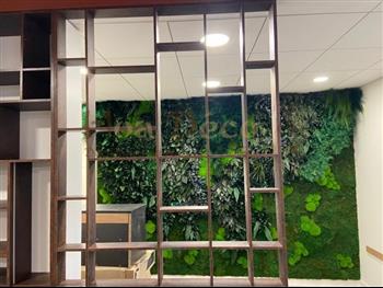 Envoi de Photo mur vegetal opticien HOA DECO stabilisé janvier 2022 green zen spirit esprit vert