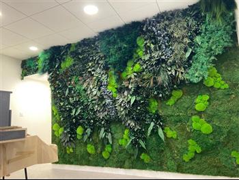 mur vegetal opticien HOA DECO stabilisé janvier 2022 plantes
