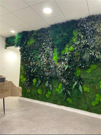 mur vegetal opticien HOA DECO stabilisé janvier 2022