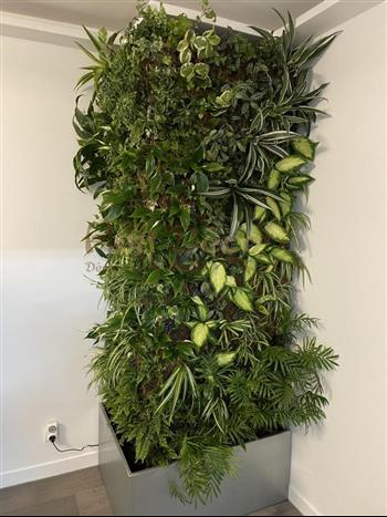 mur vegetal particulier st malo 35 naturel sphaigne fougere mur d'angle HOA DECO mur green zen spirit attitude