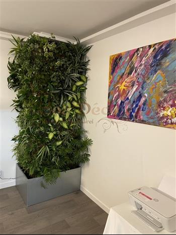 mur vegetal particulier st malo 35 naturel sphaigne fougere mur d'angle HOA DECO plafond vegetal