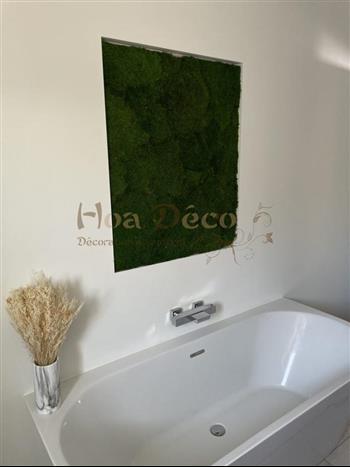 mur vegetal salle de bain stabilisé mousse plate HOA DECO green wall grass herb