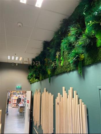MUR VEGETAL STABILISE HOA DECO 2021 LEROY MERLIN DINARD GREEN WALL ZEN SPIRIT ATTITUDE DECORATION INTERIEUR VEGETALE