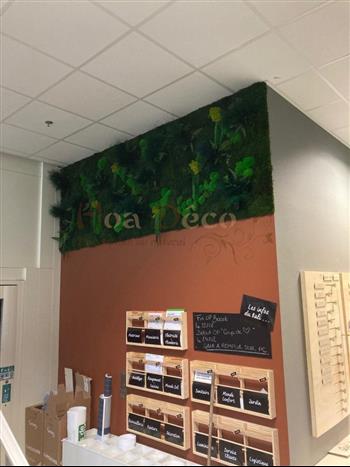 MUR VEGETAL STABILISE HOA DECO 2021 LEROY MERLIN DINARD WALL ZEN ATTITUDE