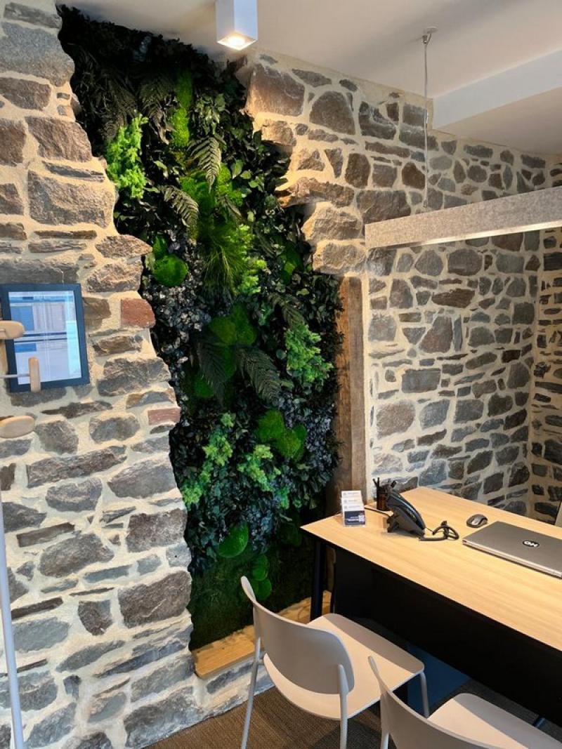 mur vegetal stabilisé intérieur pierres HOA DECO GREEN WALL