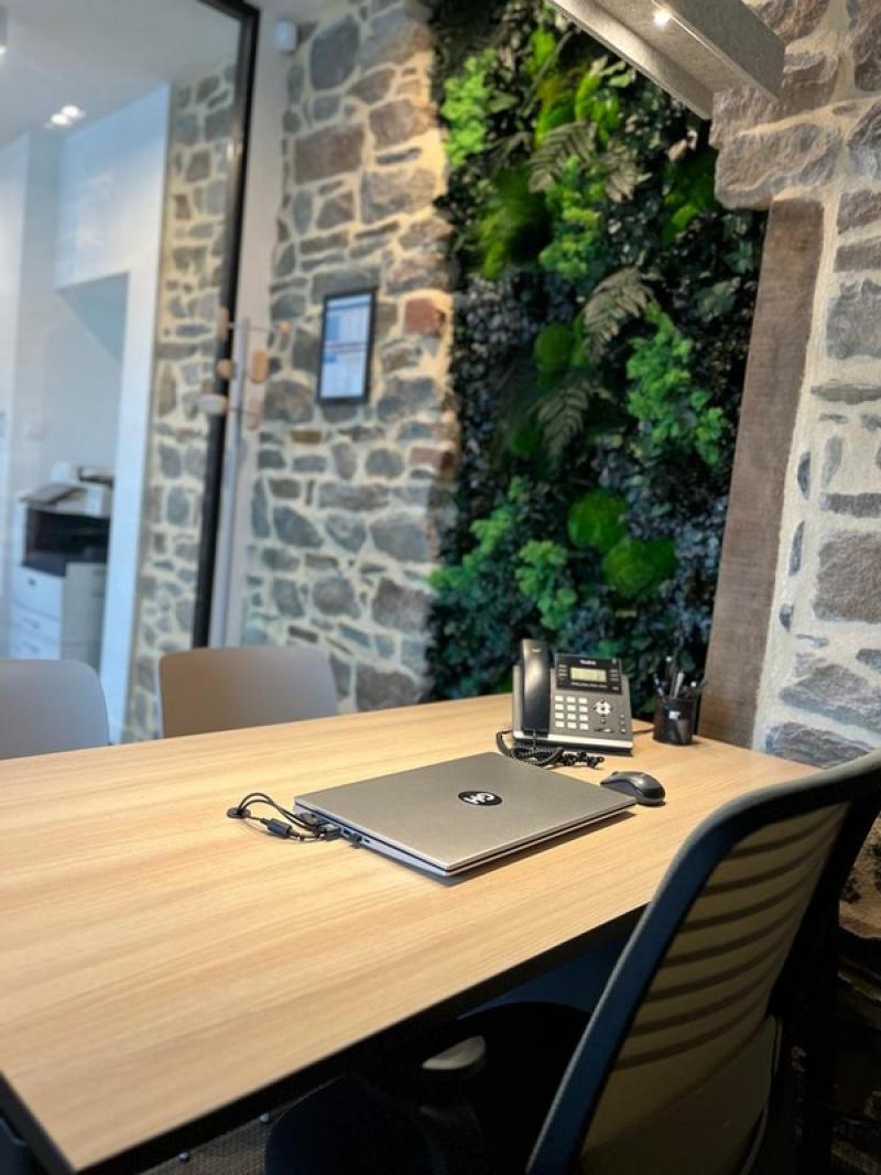 mur vegetal stabilisé intérieur pierres HOA DECO zen spirit green wall.