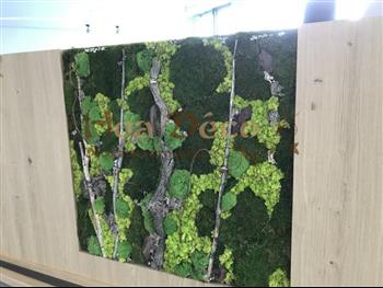 mur-vegetal-stabilise-logo-nature-vert-green-tour-ekla-lille-hoa-deco-design-amenagement-interieur-encastre