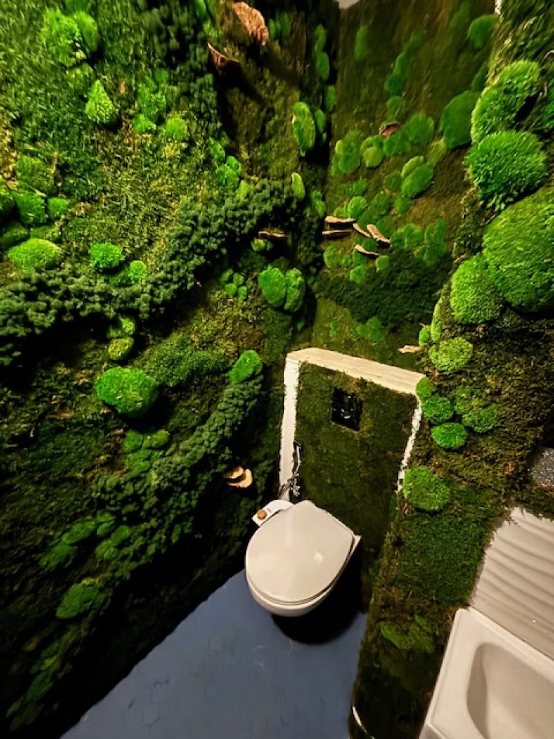 mur vegetal stabilisé mousse plate lichen hoa deco atelier wc toilette figurine pokemon dragon ball z utube