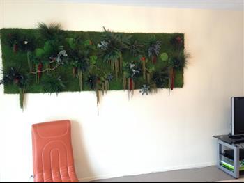Mur végétal stabilisé plante création Hoa Déco cadre tableau green design amaranthe eucalyptus fougeres plantes.JPG