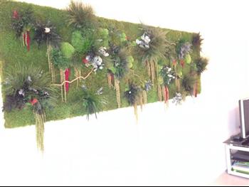 Mur végétal stabilisé plante création Hoa Déco cadre tableau green design amaranthe eucalyptus fougeres plantes.JPG