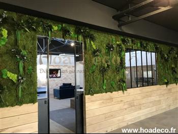 Mur végétal stabilisé saint malo 35400 showroom DGE (RGE) Décoration Générale d'Emeraude Rélisation HOA DECO 2020 fevrier design architecture tendance green wall esprit zen murs vegetaux