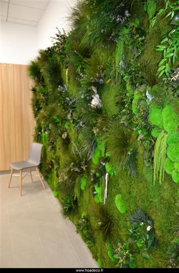 l'Oréal Paris mur stabilisé sur mesure végétal