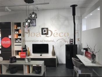 mur vegetal stabilisé SCHMIDT atelier création COV-19 FULL VEGETAUX HOA DECO design tendance showroom saint malo fougeres lierre hedera asparagus mur semi naturel avant face