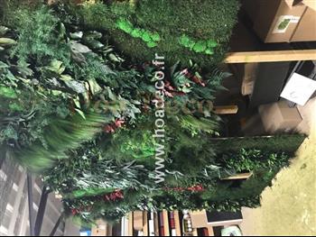 mur vegetal stabilisé SCHMIDT atelier création COV-19 FULL VEGETAUX HOA DECO design tendance showroom saint malo fougeres lierre hedera asparagus mur semi naturel zen spirit.jpg