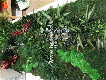 mur vegetal stabilisé SCHMIDT atelier création COV-19 FULL VEGETAUX HOA DECO design tendance showroom saint malo fougeres lierre hedera asparagus mur semi naturel zoom.jpg