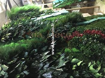 mur vegetal stabilisé SCHMIDT atelier création COV-19 FULL VEGETAUX HOA DECO design tendance showroom saint malo fougeres lierre hedera asparagus