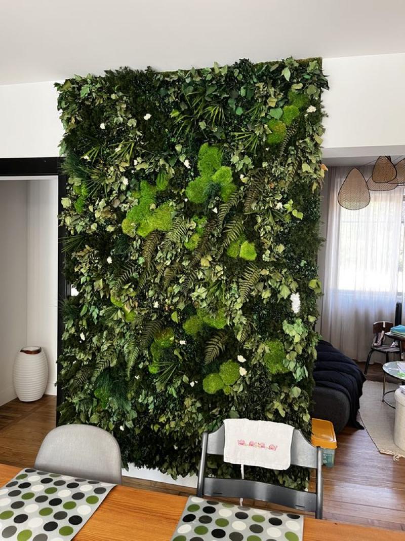 mur vegetal stabilisé lierres fougères intérieur hoa deco