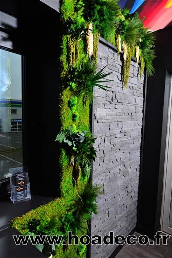 Mur végétal et plante stabilisée à Saint-Malo, Bretagne