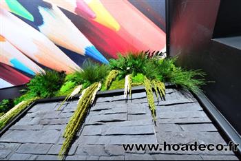 Mur végétal et plante stabilisée à Saint-Malo, Bretagne