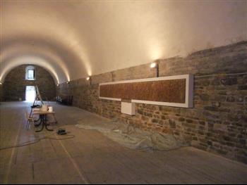 Mur végétal et plante stabilisée à Saint-Malo, Bretagne