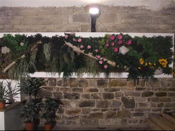 Mur végétal et plante stabilisée à Saint-Malo, Bretagne