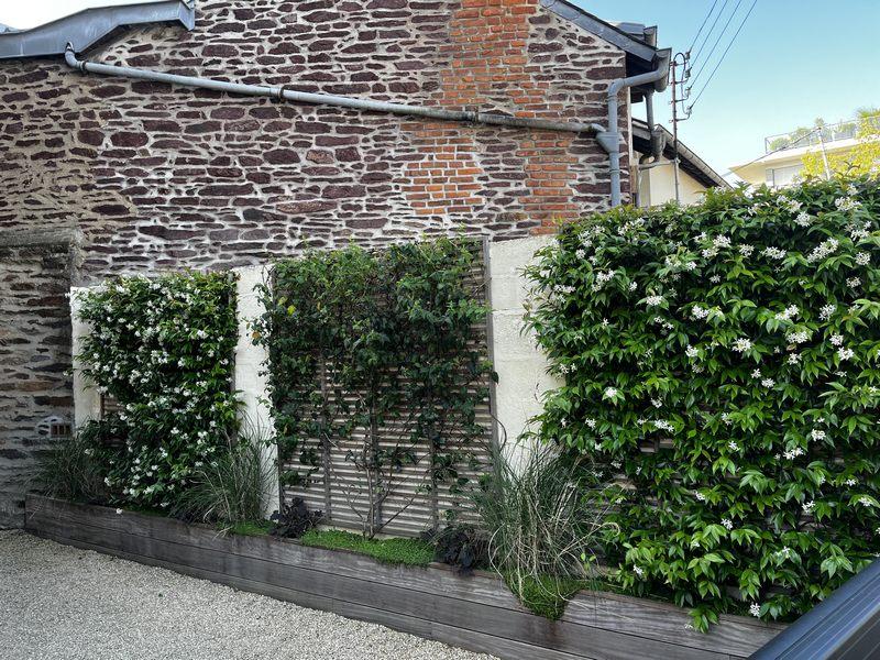 Murs vegetaux naturels plantes grimpantes chevrefeuille glycine jasmins hoa deco paysagisme design