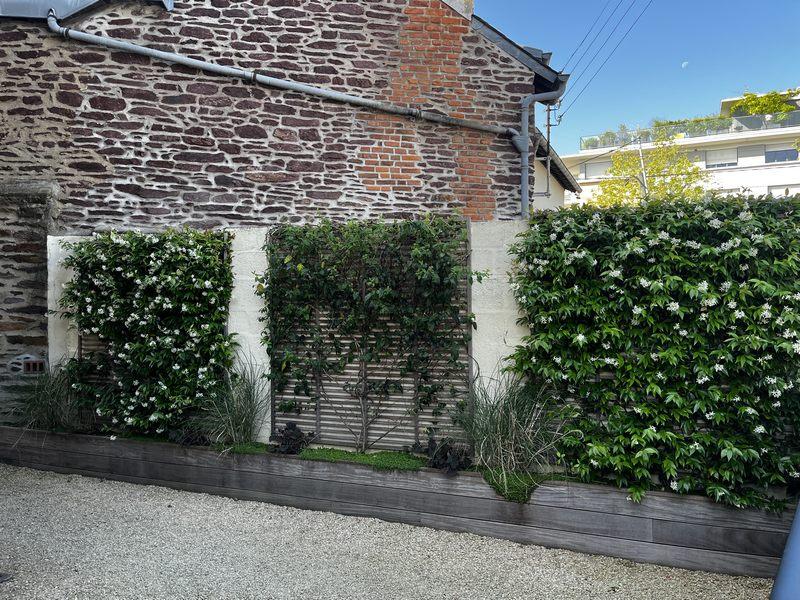 Murs vegetaux naturels plantes grimpantes chevrefeuille glycine jasmins hoa deco paysagisme design