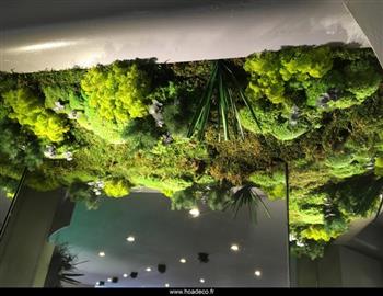 jardins suspendus Hoa déco stabilisé mur végétal niche végétale