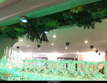 jardins suspendus Hoa déco stabilisé mur végétal aquarium
