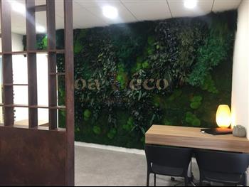 Opticienne centre optique mur vegetal stabilisé HOA DECO FULL végétaux