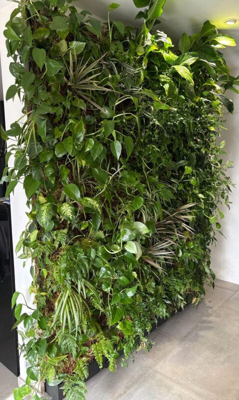 PARTICULIER CESSON SEVIGNE MUR VEGETAL NATUREL