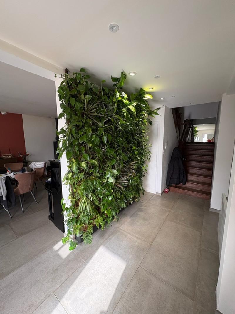PARTICULIER CESSON SEVIGNE MUR VEGETAL NATUREL