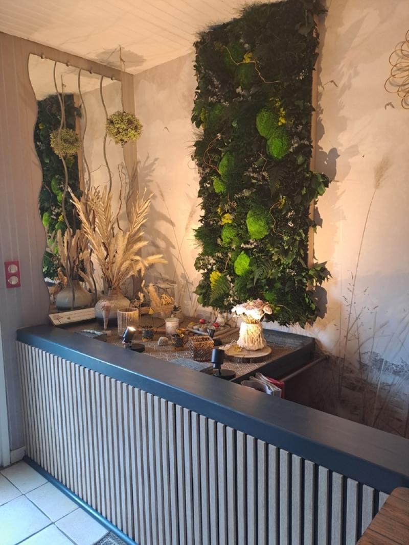 Mur végétal et plante stabilisée à Saint-Malo, Bretagne