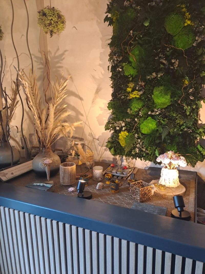 PARTICULIER MUR STABILISE PLESLIN TRIGAVOU HOA DECO ENTREE MAISON