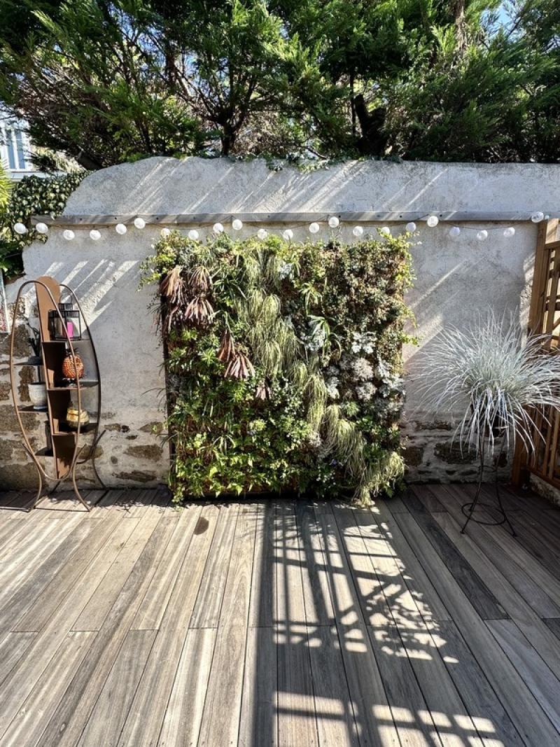PARTICULIER MUR VEGETAL NATUREL EXTERIEUR FRANCE ST MALO LED ECLAIRAGE HOA DECO
