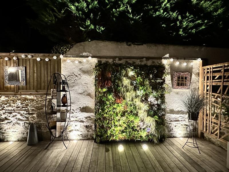 PARTICULIER MUR VEGETAL NATUREL EXTERIEUR FRANCE ST MALO LED ECLAIRAGE HOA DECO