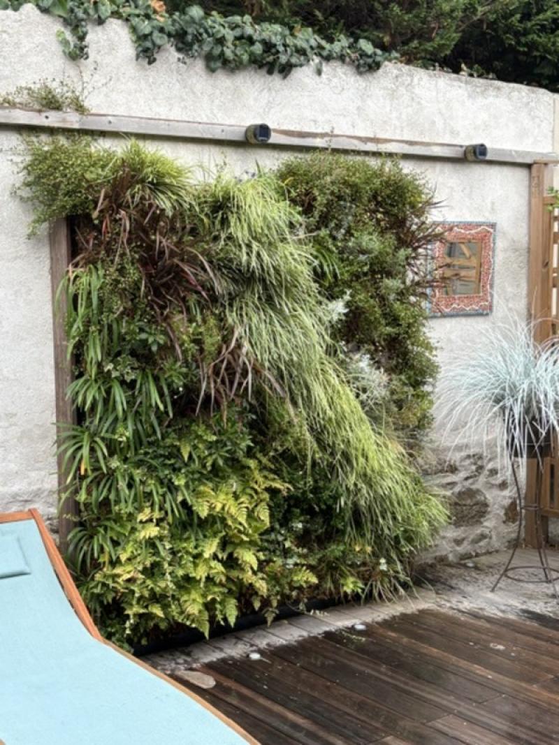 PARTICULIER MUR VEGETAL NATUREL EXTERIEUR FRANCE ST MALO LED ECLAIRAGE HOA DECO