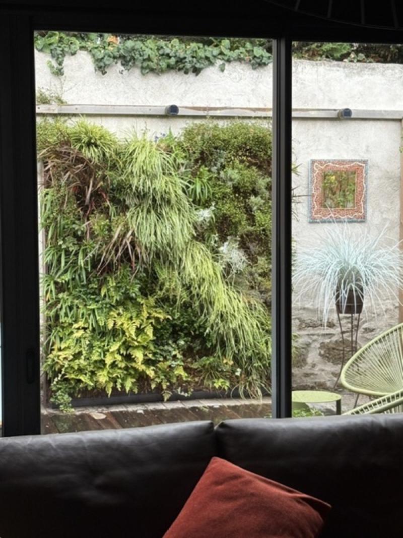 PARTICULIER MUR VEGETAL NATUREL EXTERIEUR FRANCE ST MALO LED ECLAIRAGE HOA DECO
