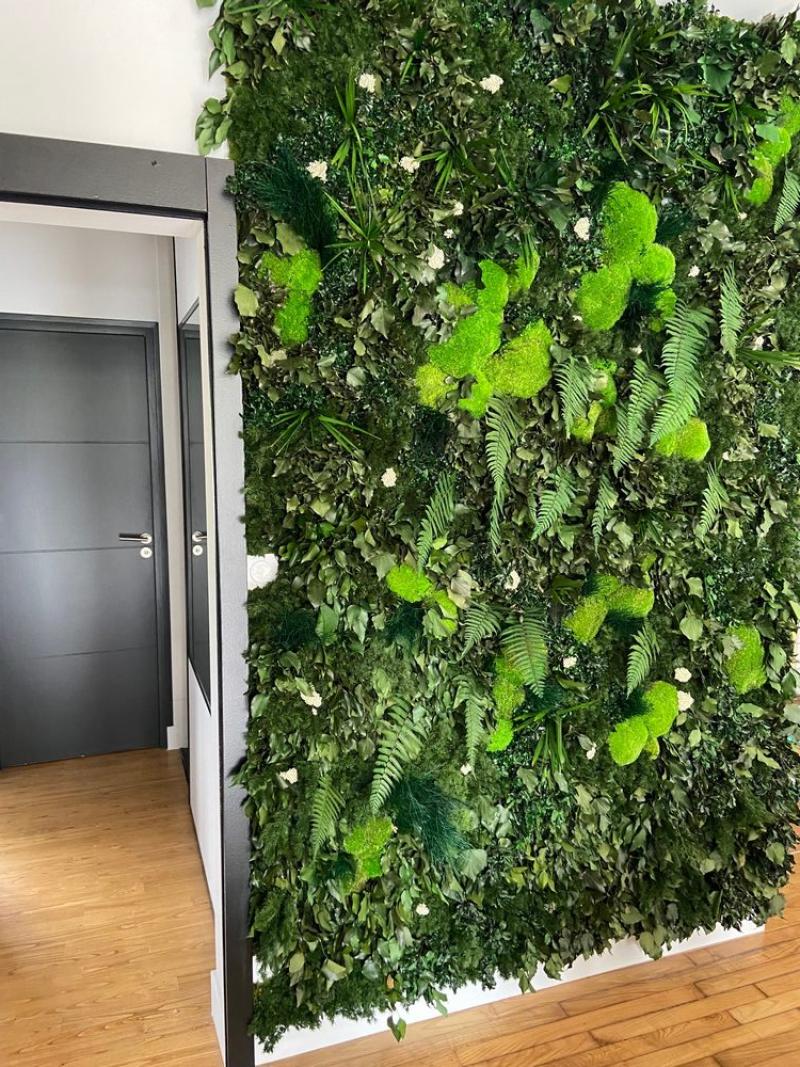 Particulier mur vegetal stabilisé by HOA DECO Rennes zoom
