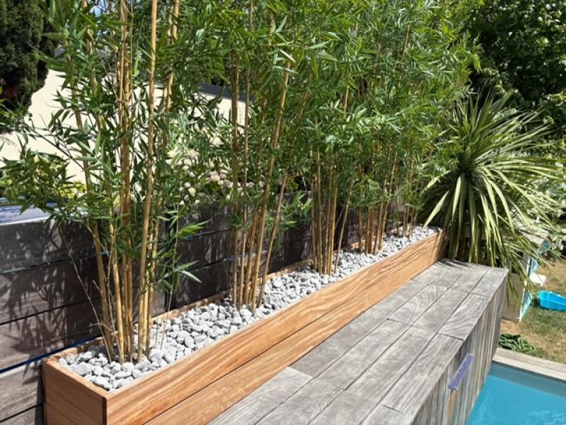 PISCINE BAMBOUS COUPE VENTS BRISE VUE BY HOA DECO RENNES