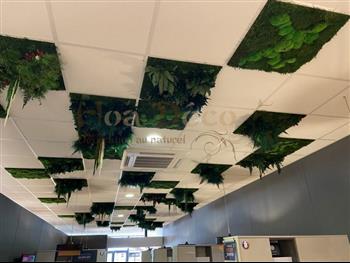 plafond vegetal dalle HOA DECO SCHMIDT SHOWROOM ST MALO FRANCE 2021 green wsall zen attitude spirit jardins suspendus