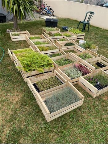 plante mur vegetal sphaigne naturel Hoa Déco juillet 2021 fougeres